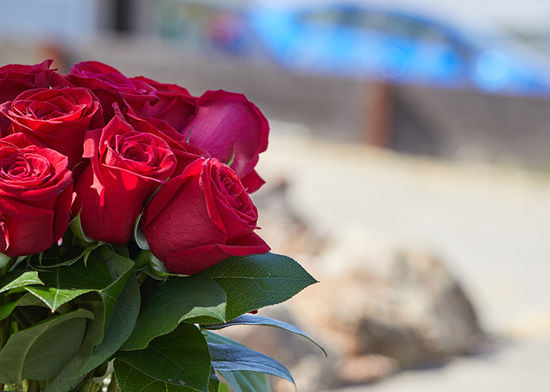 F.E.L.S feiert die Kanzleiheld:innen